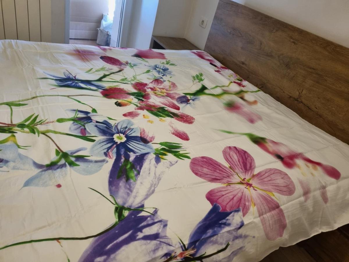 Caci Apartment Črni Kal Екстериор снимка